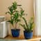 Glitzhome® 15.25" Honeycomb Textured Cobalt Blue Faux Ceramic Plastic Planters, 2ct.